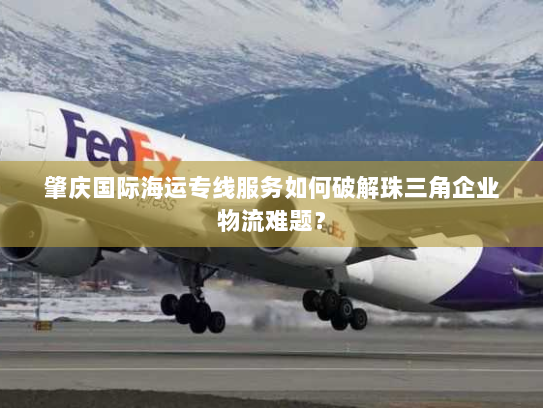 肇庆国际海运专线服务如何破解珠三角企业物流难题？