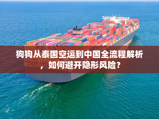 狗狗从泰国空运到中国全流程解析，如何避开隐形风险？