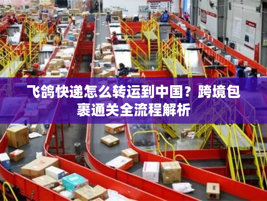 飞鸽快递怎么转运到中国？跨境包裹通关全流程解析