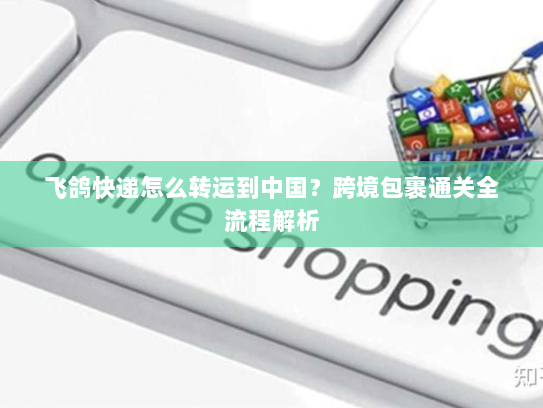 飞鸽快递怎么转运到中国？跨境包裹通关全流程解析