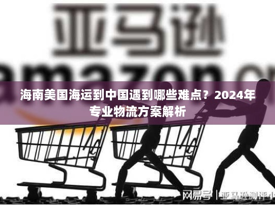 海南美国海运到中国遇到哪些难点?2024年专业物流方案解析 海南美国海运到中国遇到哪些难点?2024年专业物流方案解析