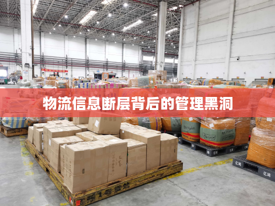 物流信息断层背后的管理黑洞