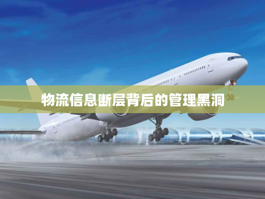 物流信息断层背后的管理黑洞