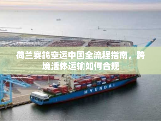 荷兰赛鸽空运中国全流程指南，跨境活体运输如何合规