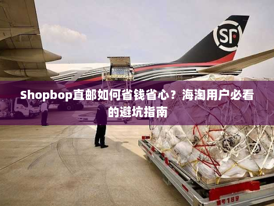 Shopbop直邮如何省钱省心？海淘用户必看的避坑指南