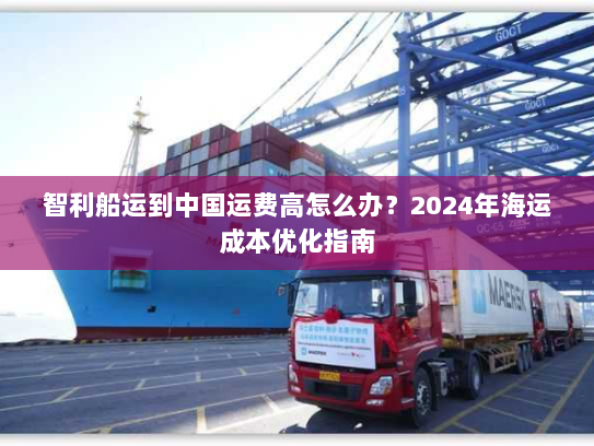 智利船运到中国运费高怎么办?2024年海运成本优化指南 智利船运到中国运费高怎么办?2024年海运成本优化指南