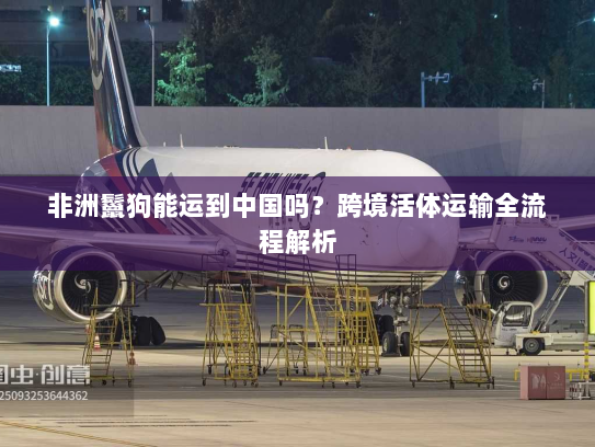 非洲鬣狗能运到中国吗？跨境活体运输全流程解析