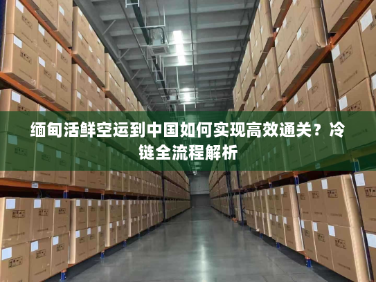 缅甸活鲜空运到中国如何实现高效通关？冷链全流程解析