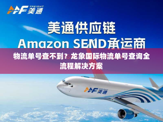 物流单号查不到?龙象国际物流单号查询全流程解决方案 物流单号查不到?龙象国际物流单号查询全流程解决方案