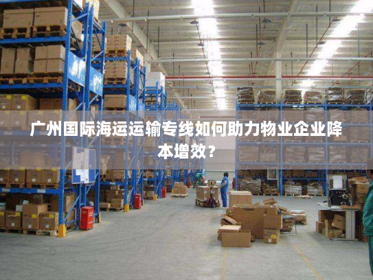 广州国际海运运输专线如何助力物业企业降本增效? 广州国际海运运输专线如何助力物业企业降本增效?