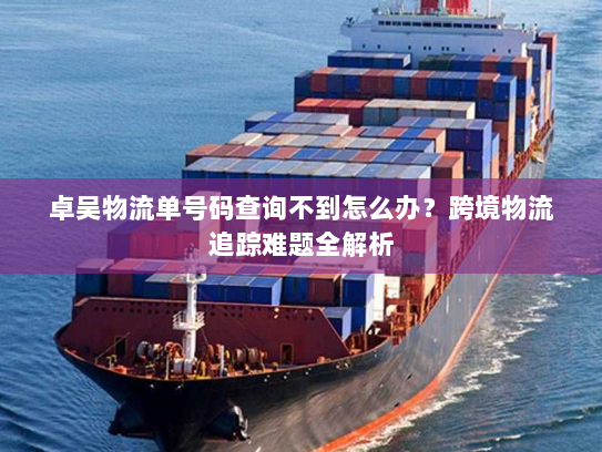 卓吴物流单号码查询不到怎么办？跨境物流追踪难题全解析