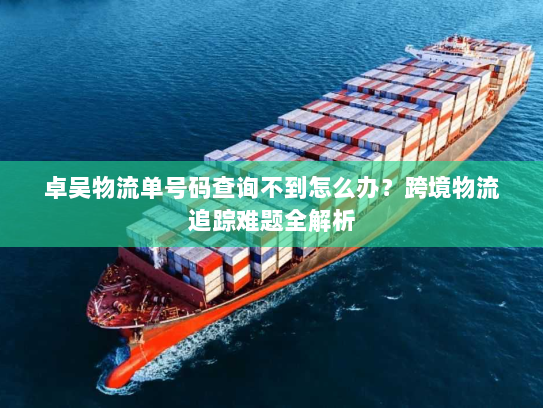卓吴物流单号码查询不到怎么办？跨境物流追踪难题全解析