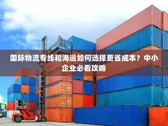 国际物流专线和海运如何选择更省成本？中小企业必看攻略