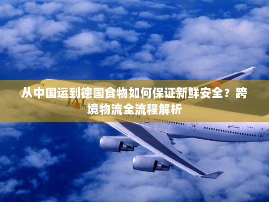 从中国运到德国食物如何保证新鲜安全?跨境物流全流程解析 从中国运到德国食物如何保证新鲜安全?跨境物流全流程解析