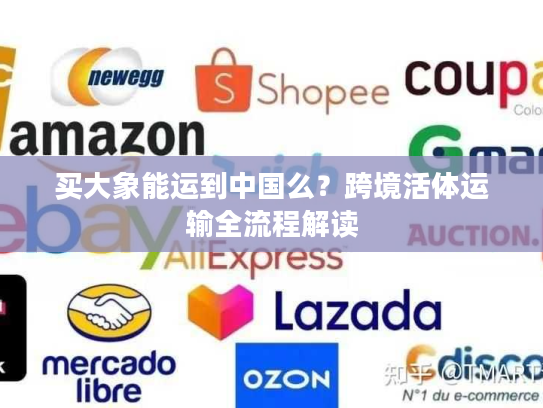 买大象能运到中国么？跨境活体运输全流程解读