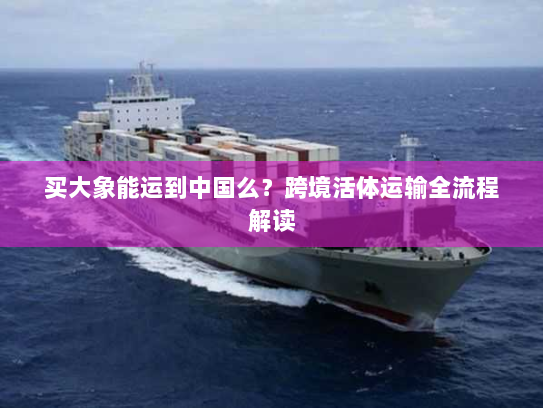 买大象能运到中国么?跨境活体运输全流程解读 买大象能运到中国么?跨境活体运输全流程解读