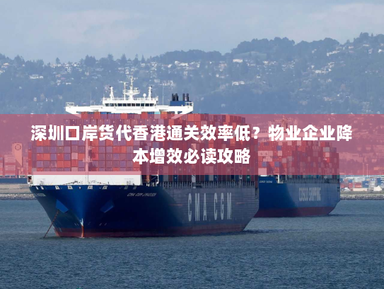 深圳口岸货代香港通关效率低？物业企业降本增效必读攻略