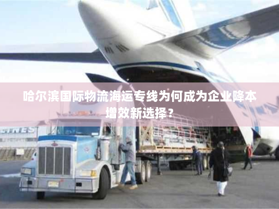 哈尔滨国际物流海运专线为何成为企业降本增效新选择？