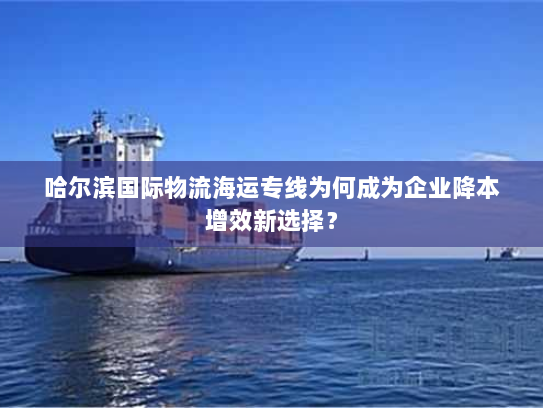 哈尔滨国际物流海运专线为何成为企业降本增效新选择？