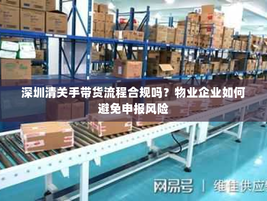 深圳清关手带货流程合规吗?物业企业如何避免申报风险 深圳清关手带货流程合规吗?物业企业如何避免申报风险