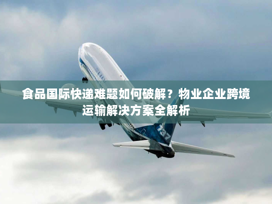 食品国际快递难题如何破解？物业企业跨境运输解决方案全解析