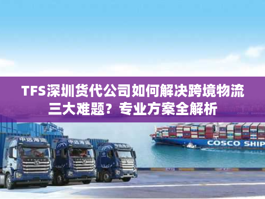 TFS深圳货代公司如何解决跨境物流三大难题？专业方案全解析
