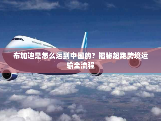 布加迪是怎么运到中国的?揭秘超跑跨境运输全流程 布加迪是怎么运到中国的?揭秘超跑跨境运输全流程
