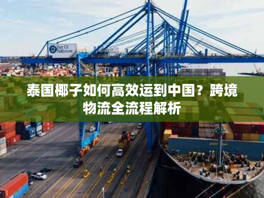 泰国椰子如何高效运到中国？跨境物流全流程解析