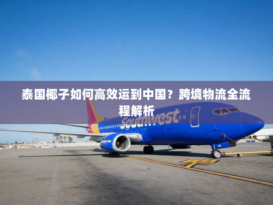 泰国椰子如何高效运到中国?跨境物流全流程解析 泰国椰子如何高效运到中国?跨境物流全流程解析