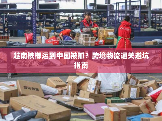 越南槟榔运到中国被抓？跨境物流通关避坑指南