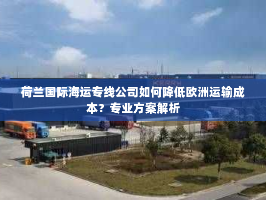 荷兰国际海运专线公司如何降低欧洲运输成本?专业方案解析 荷兰国际海运专线公司如何降低欧洲运输成本?专业方案解析