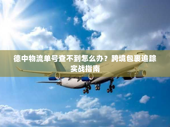 德中物流单号查不到怎么办?跨境包裹追踪实战指南 德中物流单号查不到怎么办?跨境包裹追踪实战指南