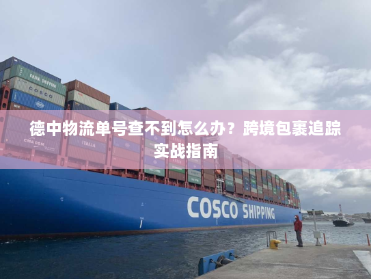 德中物流单号查不到怎么办?跨境包裹追踪实战指南 德中物流单号查不到怎么办?跨境包裹追踪实战指南