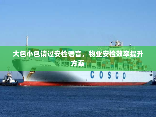 大包小包请过安检语音,物业安检效率提升方案 大包小包请过安检语音,物业安检效率提升方案