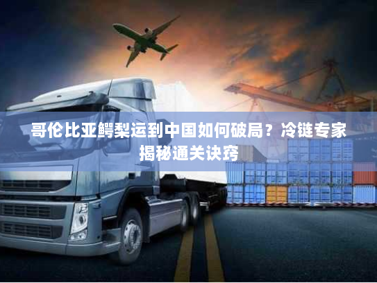 哥伦比亚鳄梨运到中国如何破局？冷链专家揭秘通关诀窍