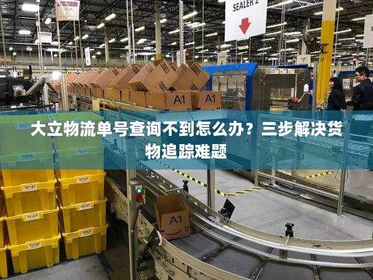 大立物流单号查询不到怎么办?三步解决货物追踪难题 大立物流单号查询不到怎么办?三步解决货物追踪难题