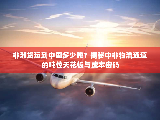 非洲货运到中国多少吨？揭秘中非物流通道的吨位天花板与成本密码