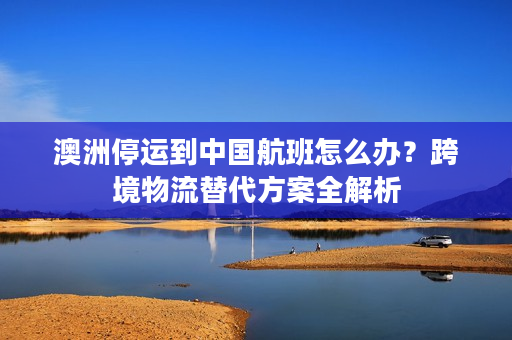 澳洲停运到中国航班怎么办？跨境物流替代方案全解析