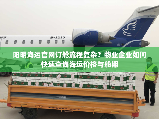 阳明海运官网订舱流程复杂?物业企业如何快速查询海运价格与船期 阳明海运官网订舱流程复杂?物业企业如何快速查询海运价格与船期