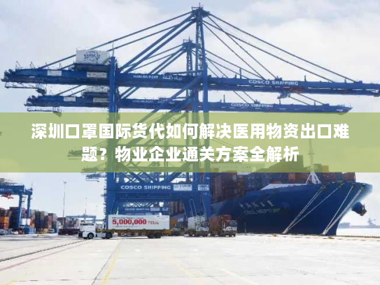 深圳口罩国际货代如何解决医用物资出口难题?物业企业通关方案全解析 深圳口罩国际货代如何解决医用物资出口难题?物业企业通关方案全解析