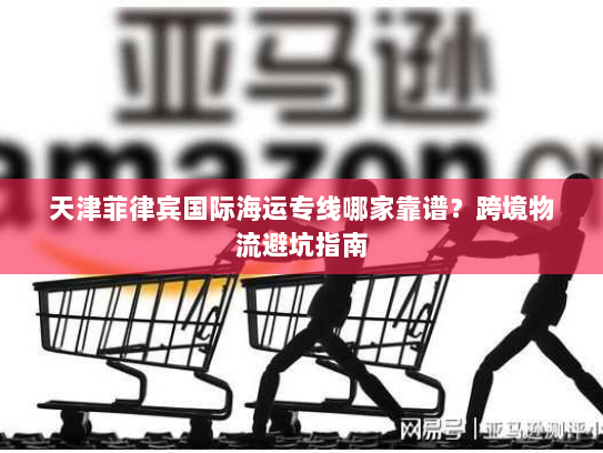天津菲律宾国际海运专线哪家靠谱？跨境物流避坑指南