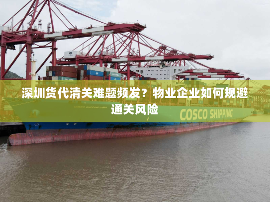 深圳货代清关难题频发?物业企业如何规避通关风险 深圳货代清关难题频发?物业企业如何规避通关风险