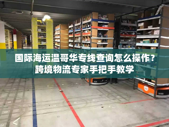 国际海运温哥华专线查询怎么操作?跨境物流专家手把手教学 国际海运温哥华专线查询怎么操作?跨境物流专家手把手教学
