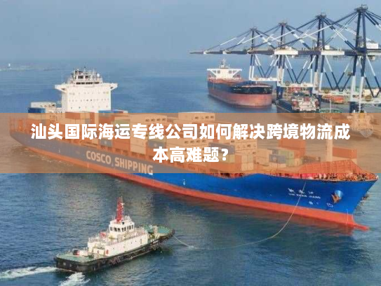 汕头国际海运专线公司如何解决跨境物流成本高难题？