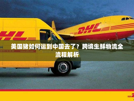 美国猪如何运到中国去了?跨境生鲜物流全流程解析 美国猪如何运到中国去了?跨境生鲜物流全流程解析