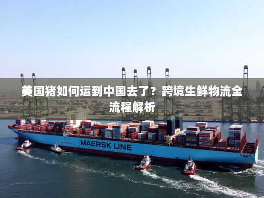 美国猪如何运到中国去了?跨境生鲜物流全流程解析 美国猪如何运到中国去了?跨境生鲜物流全流程解析