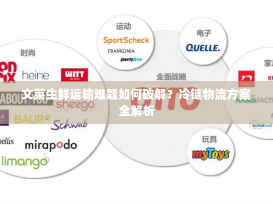 文莱生鲜运输难题如何破解？冷链物流方案全解析