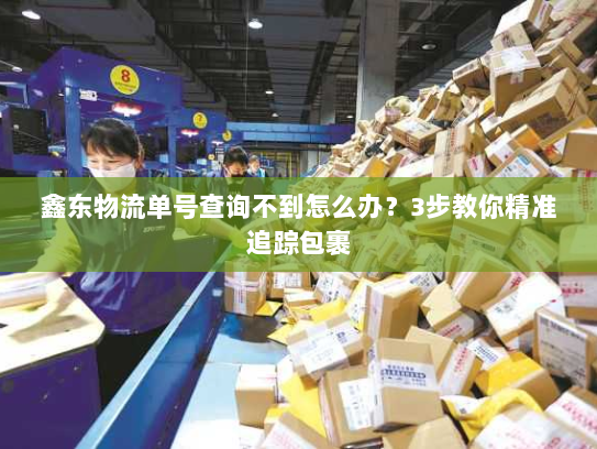 鑫东物流单号查询不到怎么办？3步教你精准追踪包裹