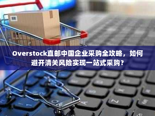 Overstock直邮中国企业采购全攻略，如何避开清关风险实现一站式采购？