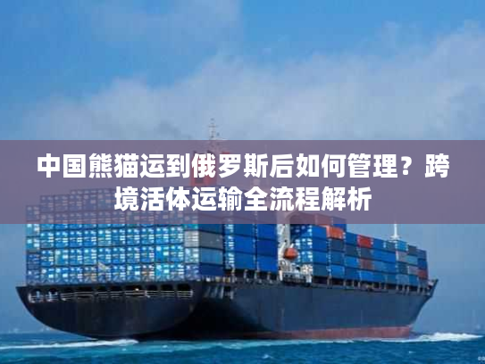 中国熊猫运到俄罗斯后如何管理？跨境活体运输全流程解析